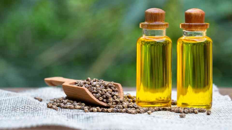 How Does CBD Oil Affect Metabolism
