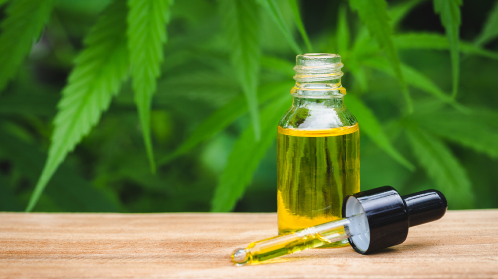 cbd oil