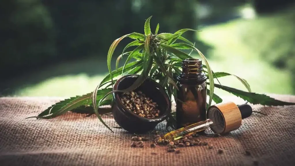 CBD Oil for Creative Thinking Boosting Innovation Naturally