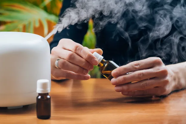 CBD Oil for Digestion How It Can Alleviate Common Digestive Issues