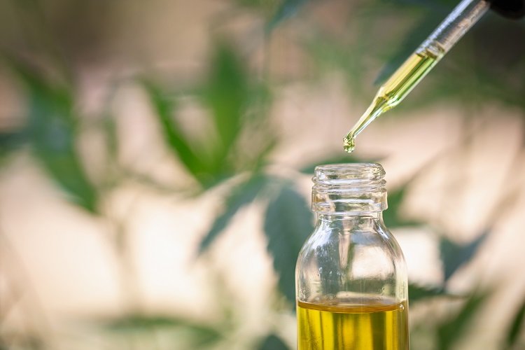 Understanding the Basics of CBD Formulations
